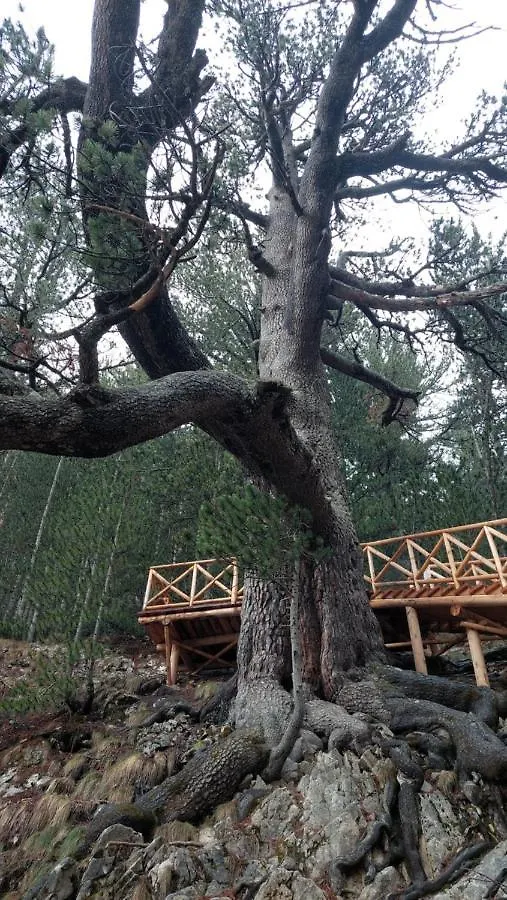 Free Spa В Св. Иван Рилски - Сладък Дом Сред Лукс Bansko Apart Otel